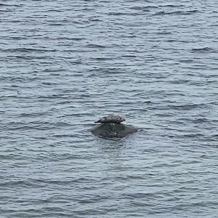 Mp 8 Steuerbord * Klutz