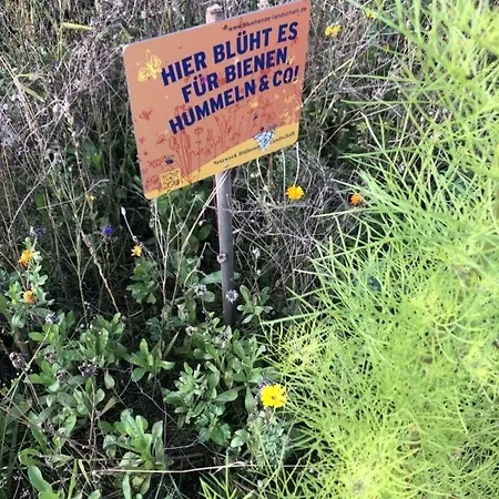 Mp 8 Steuerbord Apartamento Klutz