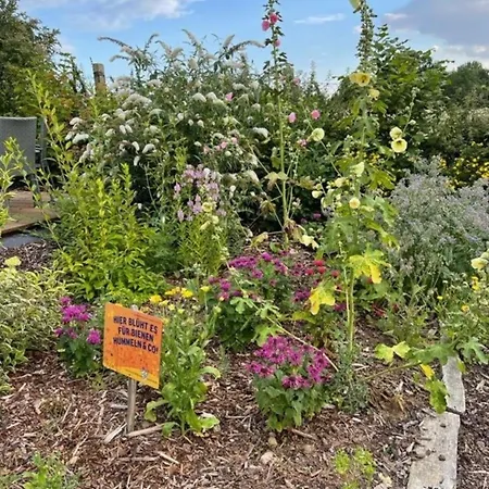 Apartamento Mp 8 Steuerbord Klutz